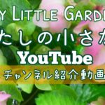 わたしの小さな庭YouTubeチャンネルの紹介動画をアップしました！