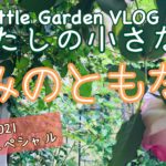 「わたしの小さな庭2021 きみのともだち　〜あなたに贈るローズガーデン〜」をYouTubeにアップロードしました！！