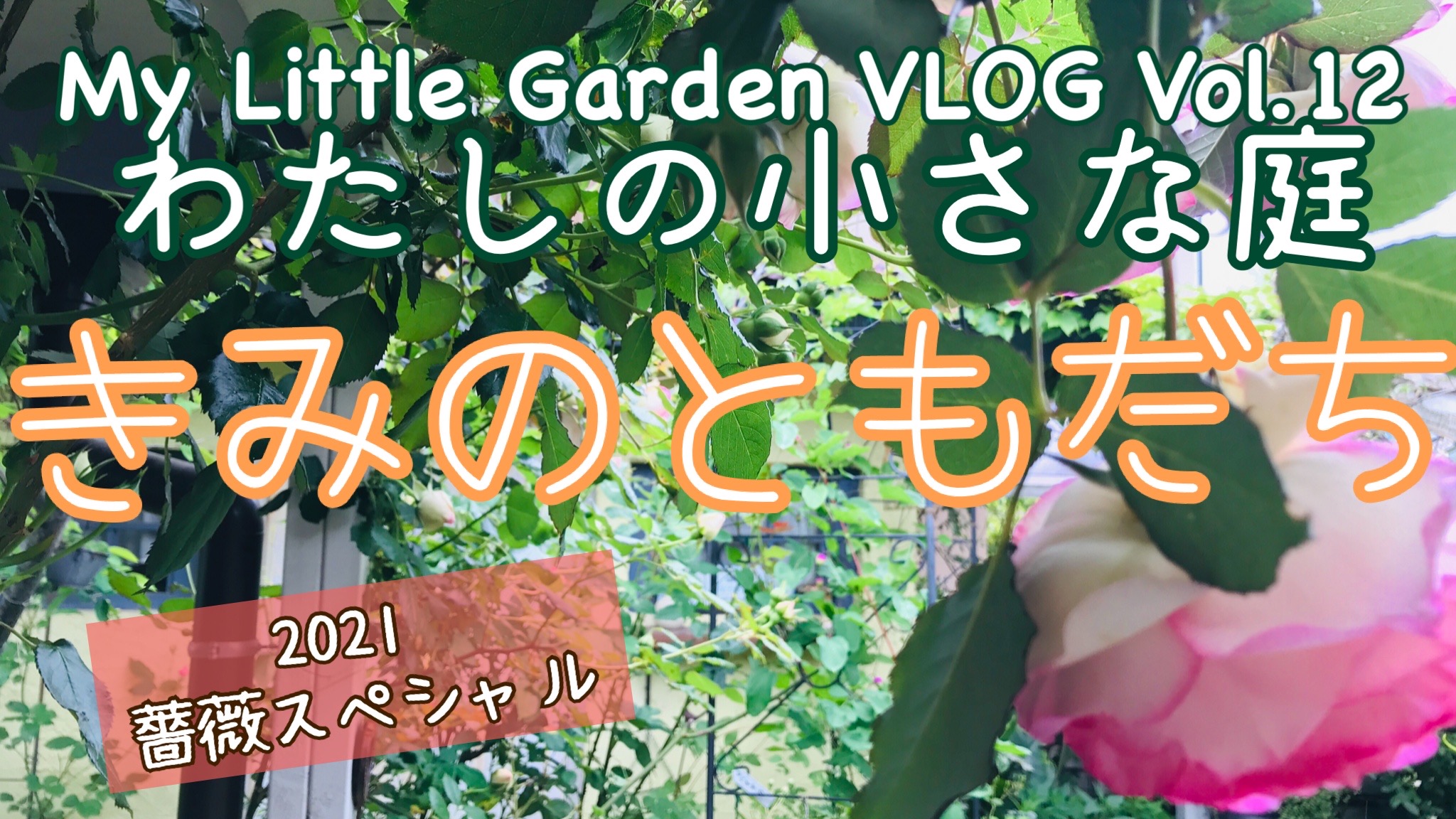 「わたしの小さな庭2021 きみのともだち　〜あなたに贈るローズガーデン〜」をYouTubeにアップロードしました！！