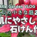 「わたしの小さな庭2021 〜お肌にやさしい石けん作り〜」をYouTubeにアップロードしました！！！